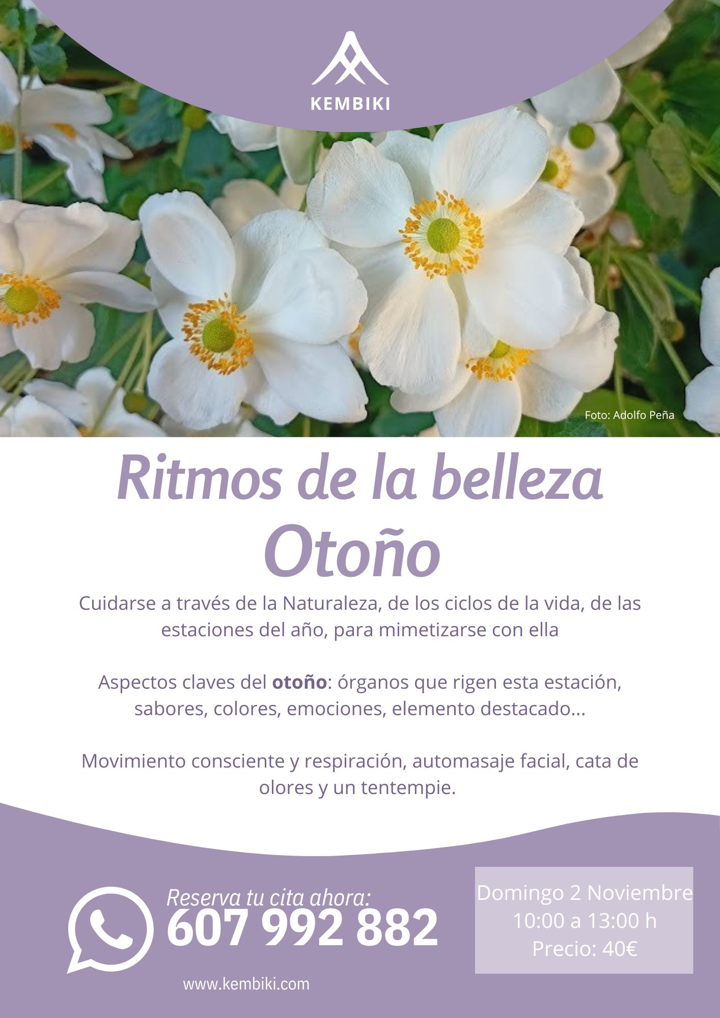 Taller Otono